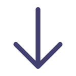 Arrow Down SVG Icon